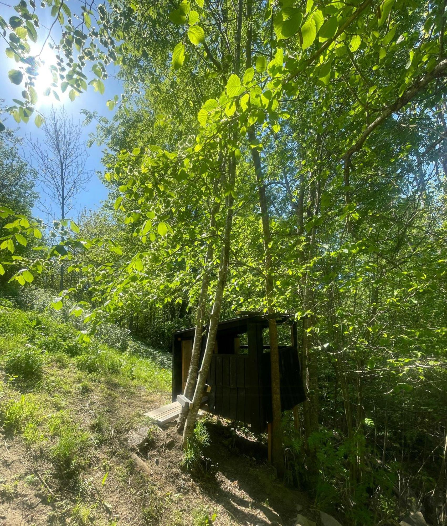 Perfect Location By The Forest Edge In Feriehus Oslo