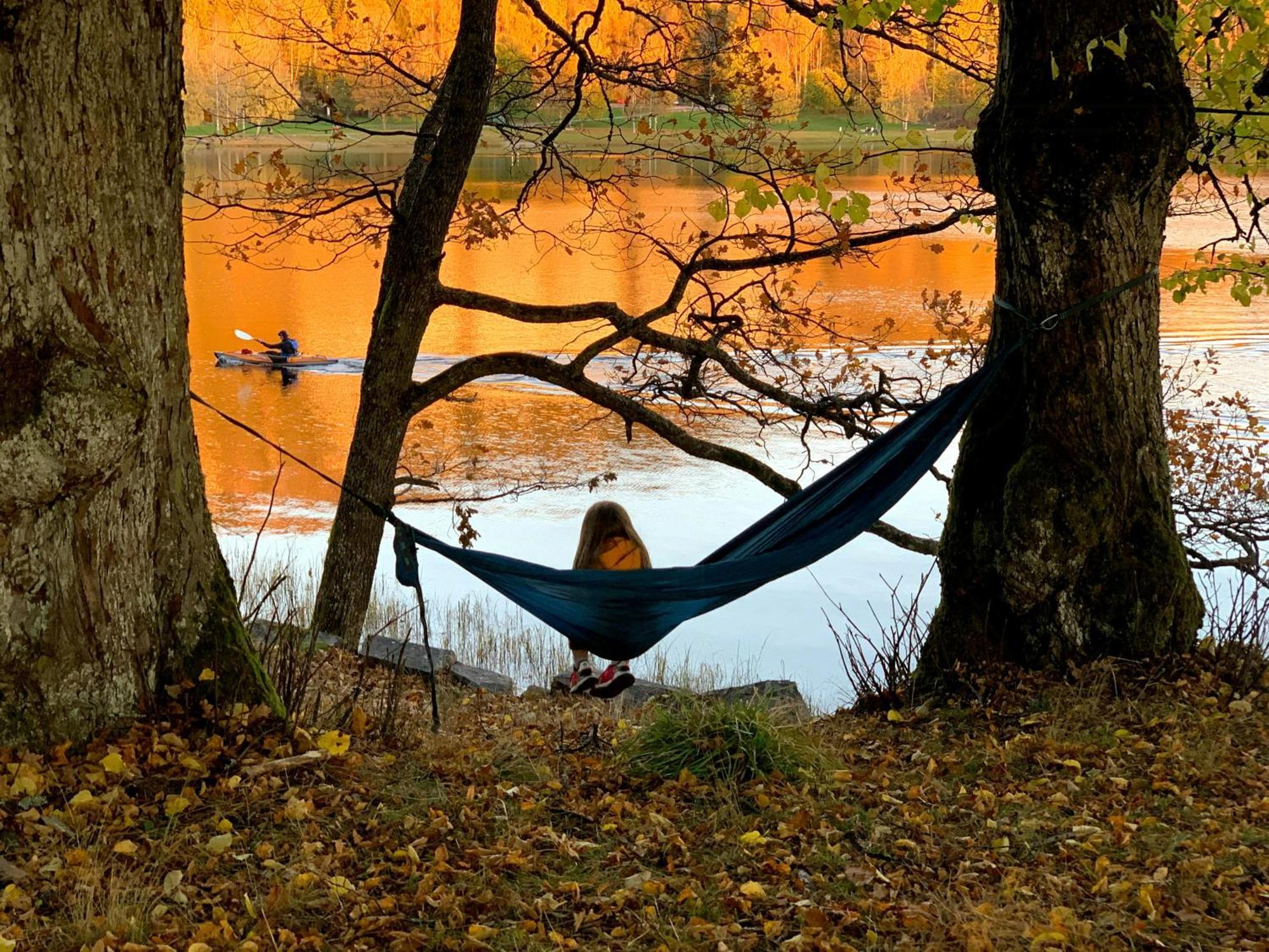 Perfect Location By The Forest Edge In *